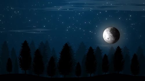 Tree And Glowing Star Blinking Animation At Night With Moon. Moon Rising Forest View Animation Video