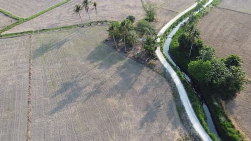 Aerial View of Tropical Farmland with Waterway