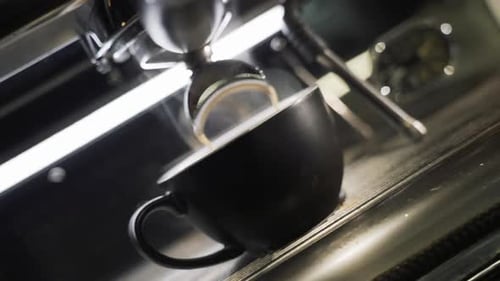 Pouring coffee stream from professional machine in cup. using filter holder. 120F