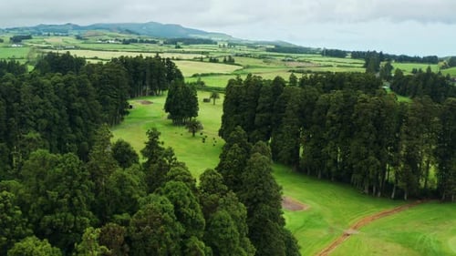 Cinematic aerial drone shot of green golf course.