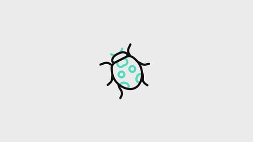 Hand Drawn Ladybug Icon Reveal Animation in Sketch Style