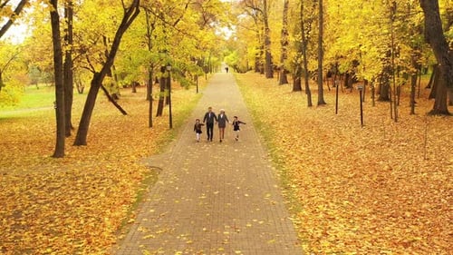Una familia numerosa camina por el parque en otoño