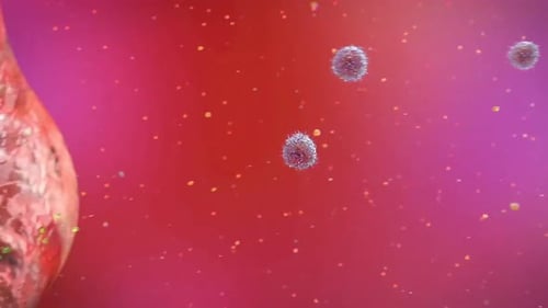 Microscopic Cells Interacting in 3D Scientific Animation