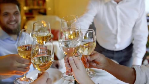 People Toasting Wine Glasses at Celebratory Dinner