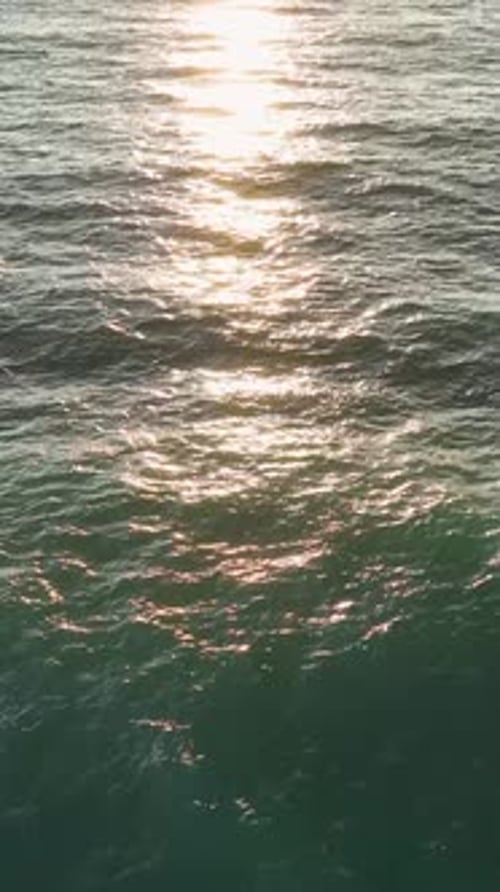 Immergez-vous dans la tranquillité des vagues au ralenti dans les profondeurs de l'océan