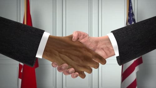 Professional Handshake with Diverse Hands and National Flags
