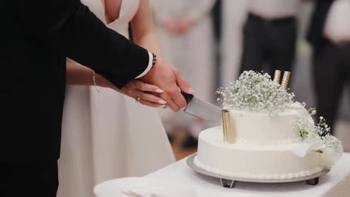 Elegant Couple Cutting Wedding Cake Together