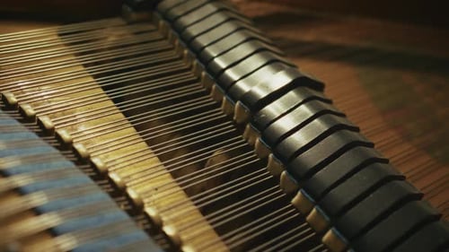 Close-up of Grand piano dampers and hammers action on tight strings