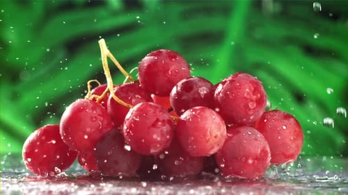 Raindrops Fall on Red Grapes Filmed on a Highspeed Camera at 1000 Fps