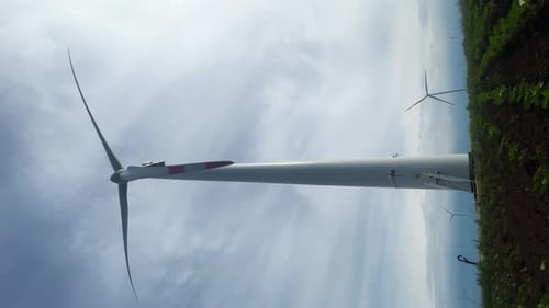 Some Generators in the Middle of the Field The Field is Full of Green Plants The Generators Make