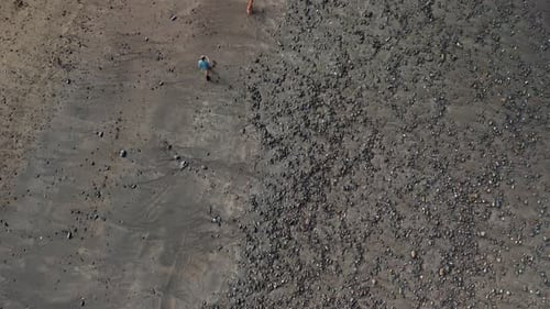 Reveal aerial shot of a man walking his two golden retriever dogs on a scenic beach