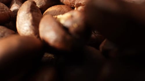 Beautiful coffee beans. Close-up macro video. 4K