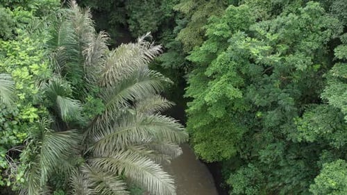 Waterfall landscape beautiful tropical rainforest