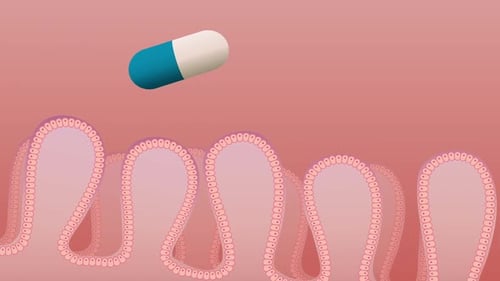 Medical Capsule Releasing Substance into Intestinal Villi