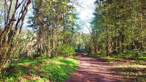 Frühling, Arboretum Rubovsky, Steinbruch und West-Dwina 29