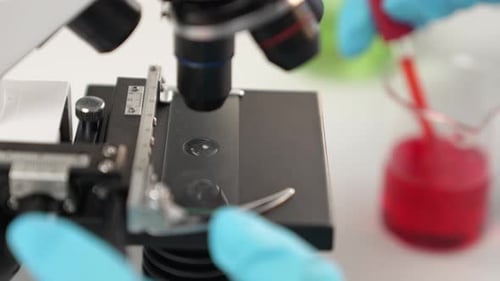 Microscope view of blood being placed on slide