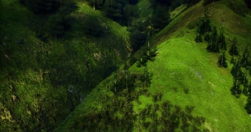 Lush Green Valley with Dense Forested Hills During Bright Daylight Hours