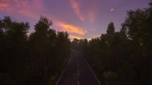Serene Forest Road at Sunset with Vibrant Sky
