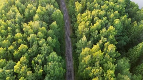 Luftaufnahme von oben nach unten auf Bahngleise, die sich über die darunter liegende Landschaft erstrecken