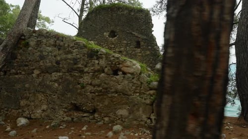 Ruins of an ancient Greek house in a pine forest on a high cliff by the sea. A panoramic view.