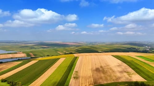 Aerial View of Colorful Agricultural Fields on Sunny Day