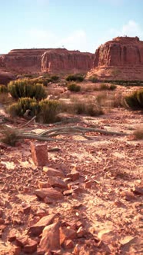 Desert Landscape With Rocks and Plants