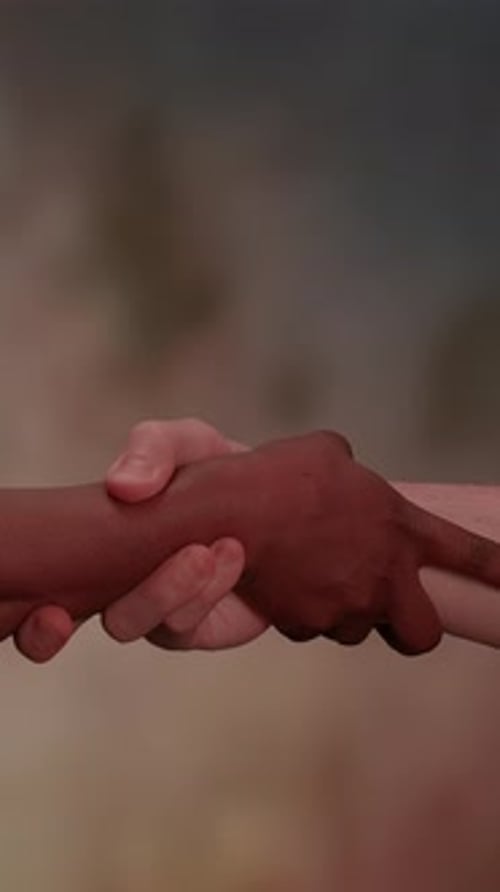 Unity in Diversity A Beautiful Symbolic Handshake of Friendship and Connection Across Cultures