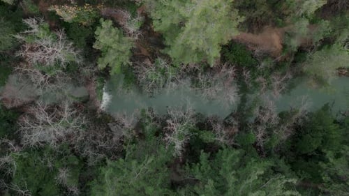 Aerial Shot From Top to Bottom As the Camera Flies Up Over a Small Forest River