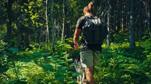 Couple Trekking In The Woods With Alaskan Malamute Dog Breeds. Static Shot