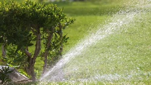 Aspersor de plástico irrigando grama com água no jardim de verão, regando vegetação verde, escavando