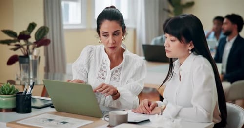 Teamwork, discussion and women with laptop, office and explanation for intern with project