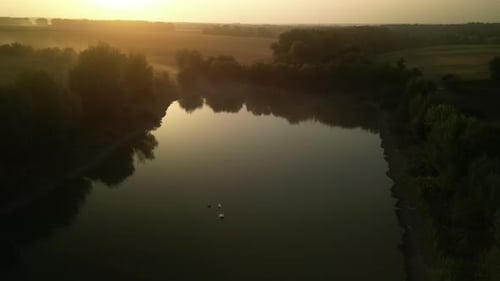 Swans on the lake at sunset. Sunset on the lake in the fields