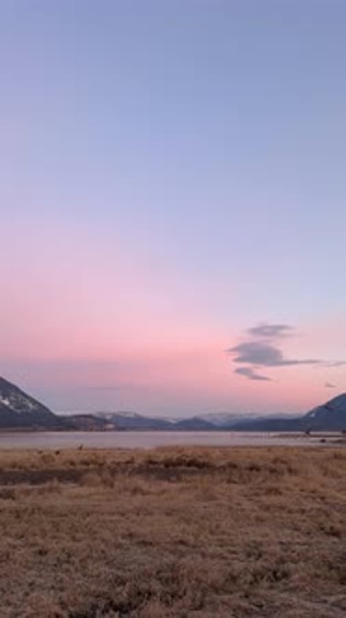 Oiseaux survolant le lac Frosty au lever du soleil