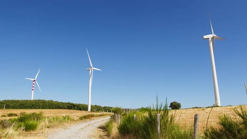 Energy Lobbies Disfigure the Territory with Wind Turbines