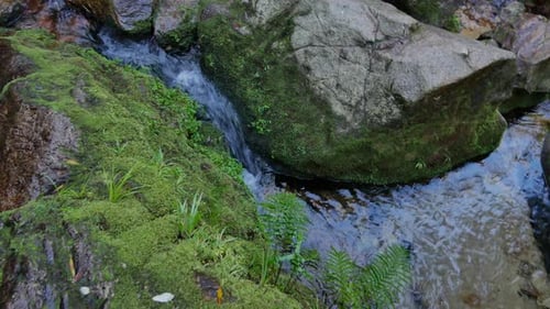 Rotating high angle view of small mossy waterfall into green pool