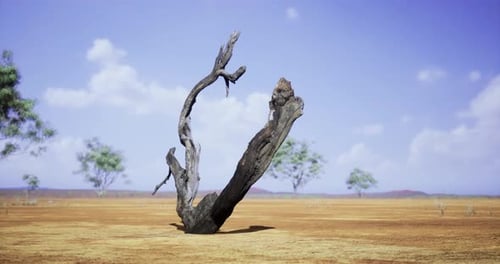 Dead Tree Trunk in Dry Desert Landscape Animation