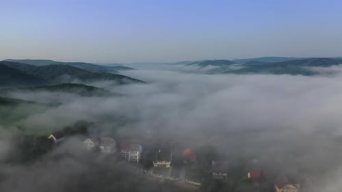Aerial view of foggy forest.