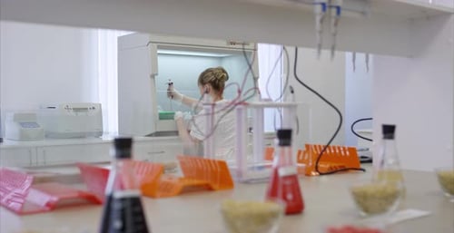 Scientist Works in Clean Research Laboratory Environment