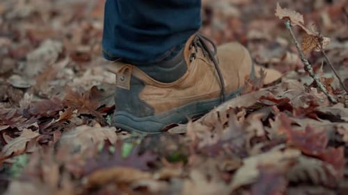 Slow Motion Hiking Boots Walking on Autumn Leaves Forest Floor