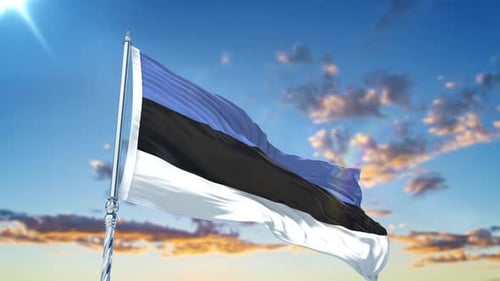 Estonia National Flag Waving in Wind with Bright Sky
