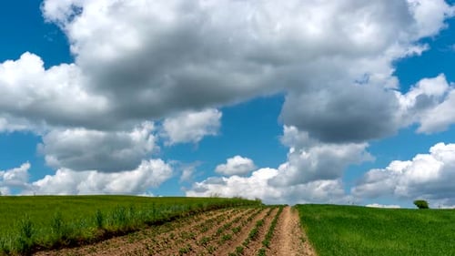Rural landscape