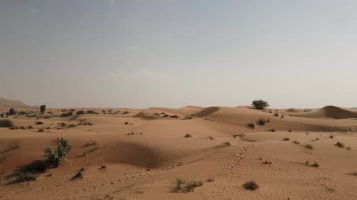 Kamele in Bewegung durch eine riesige Wüstenebene 4 K