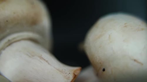 detailed video of a pile of mushrooms, RAW champignons, WHITE CAPS, on a rotating stand, smooth move