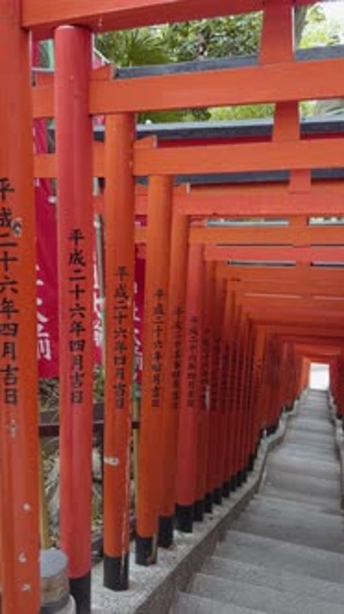Portes torii paisibles et colorées du sanctuaire historique de Nezu à Tokyo, un monument spirituel