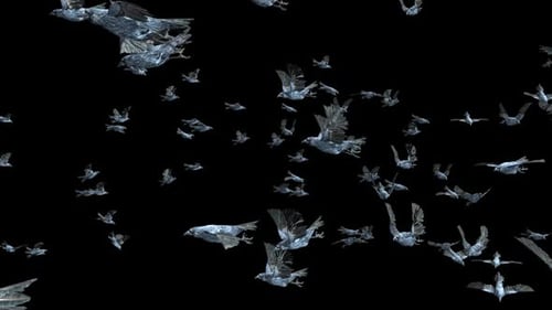 Stylized Flock of Birds Flying on Black Background