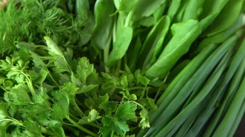 Green Onions Spinach Parsley and Dill Vitamin Food Prepare Greens for Salad