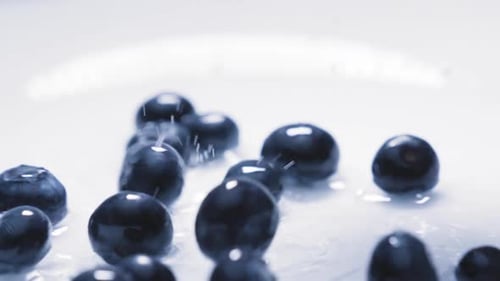 slowmotion of assorted berrys falling on to water