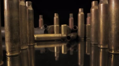 Brass Cartridge Cases Standing on a Black Mirror Surface