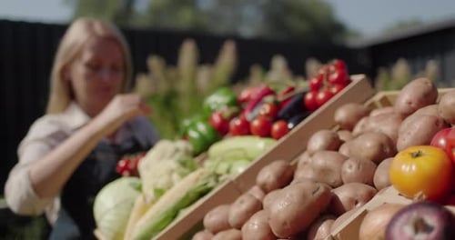 A Woman Lays Out Vegetables on the Counter Trading at the Farmer's Market In the Foreground is a Box
