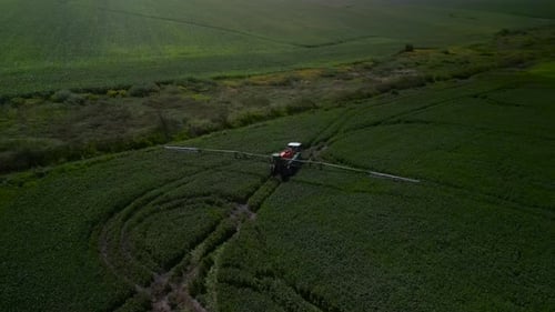 Spray Fertilize On Field With Chemicals In Agriculture Field